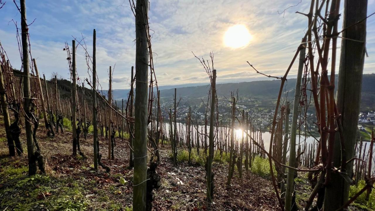 Апартаменты Weinrebe Бернкастель-Кюс Экстерьер фото