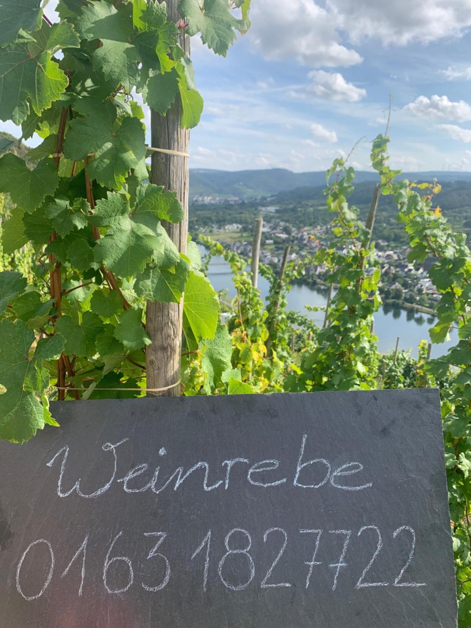 Апартаменты Weinrebe Бернкастель-Кюс Экстерьер фото
